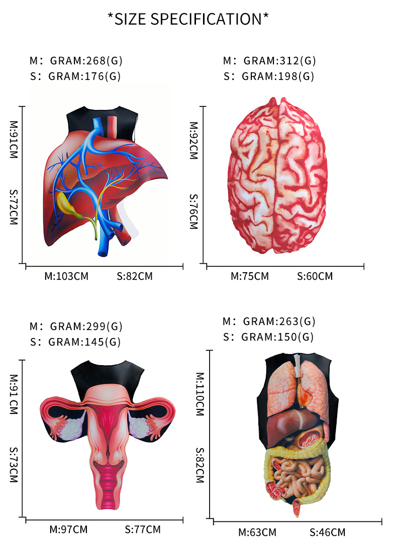 Human Organ Halloween Costume - size chart