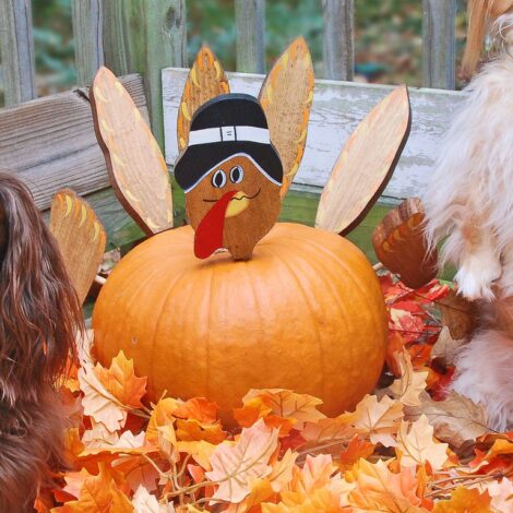 Turkey pumpkins