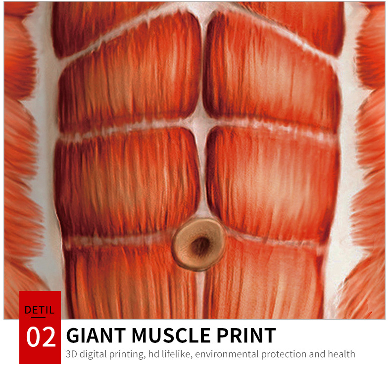 Human Muscle Anatomy Graphic T-Shirts - product detail