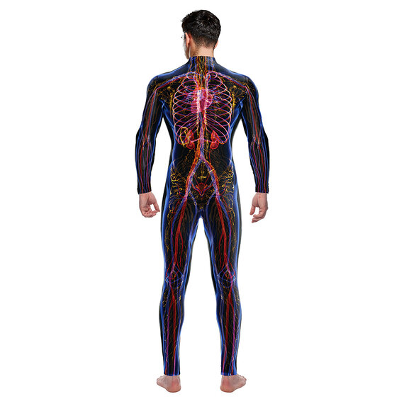 fascinating jumpsuit halloween costumes - Human Circulatory System