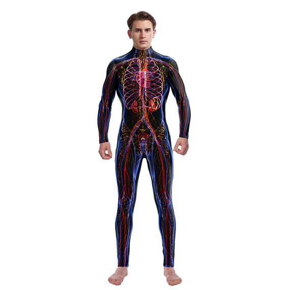 Discover Halloween costumes for women  - Human Circulatory System