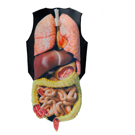 Human Anatomy Internal Organs Halloween Costume