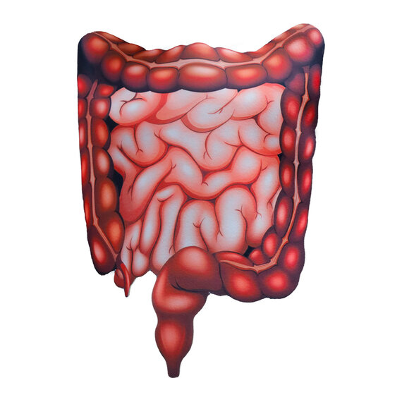 Fake intestines prop costume top