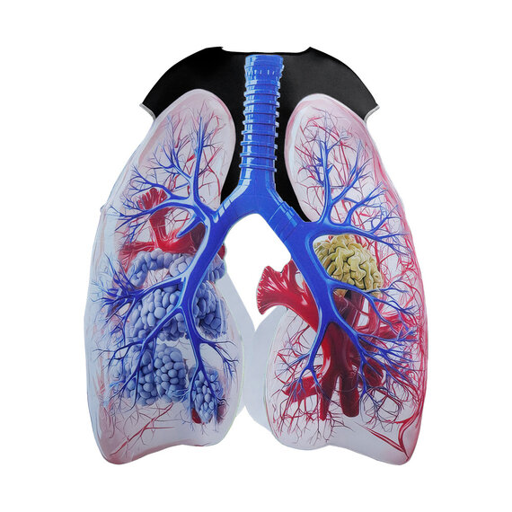 Human lung halloween costume adults