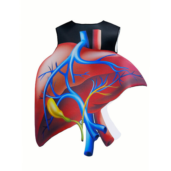 Kid human organ heart halloween costume